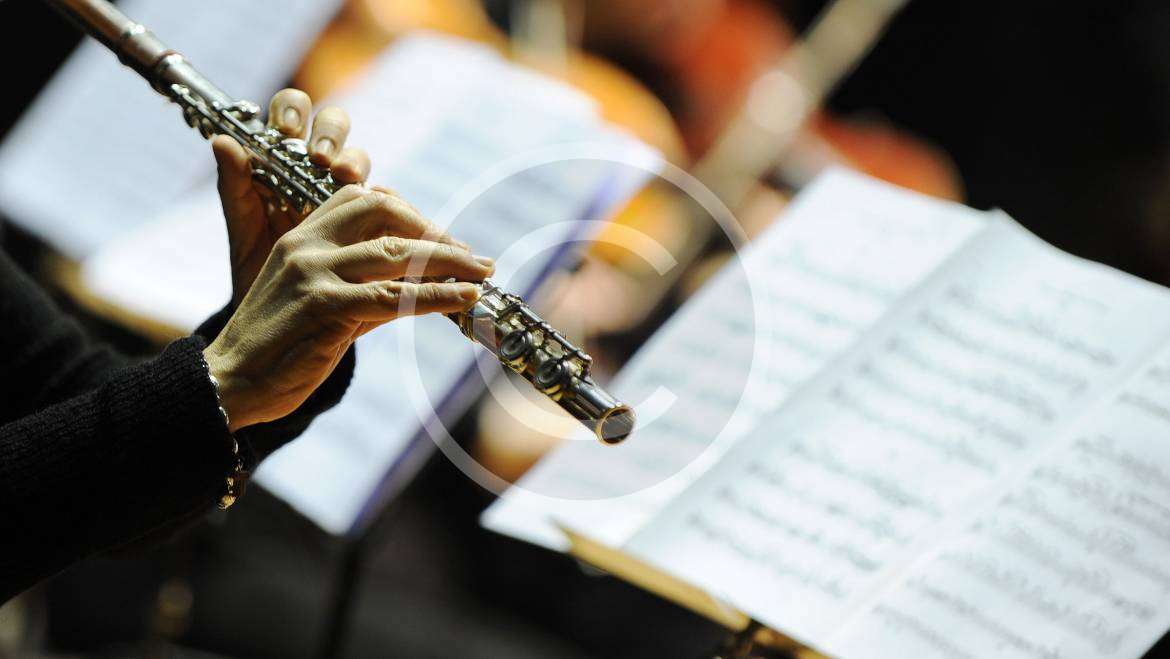 The 9 Different Types of music degrees